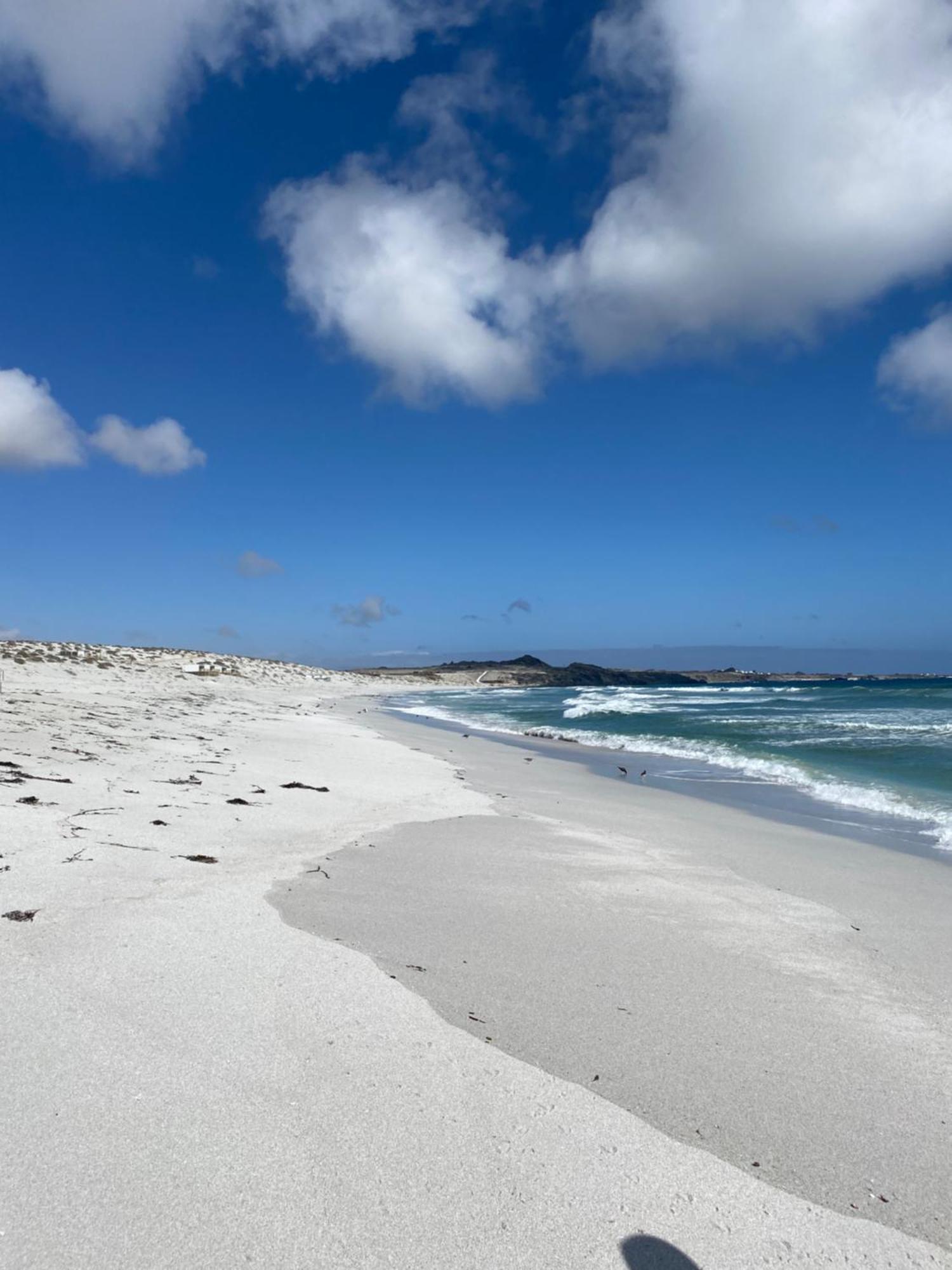 Punta De Choros Lodge Eksteriør bilde
